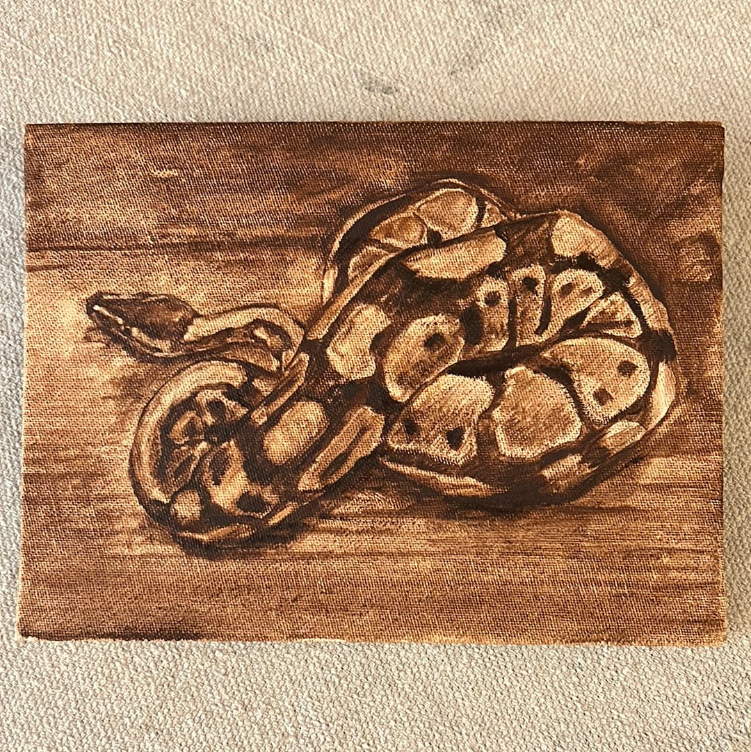 Oil Painting - Ball Python Study