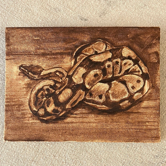 Oil Painting - Ball Python Study